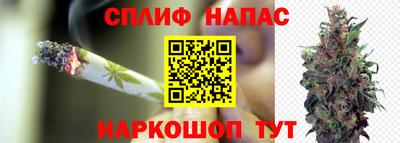 Альфа ПВП Шахты