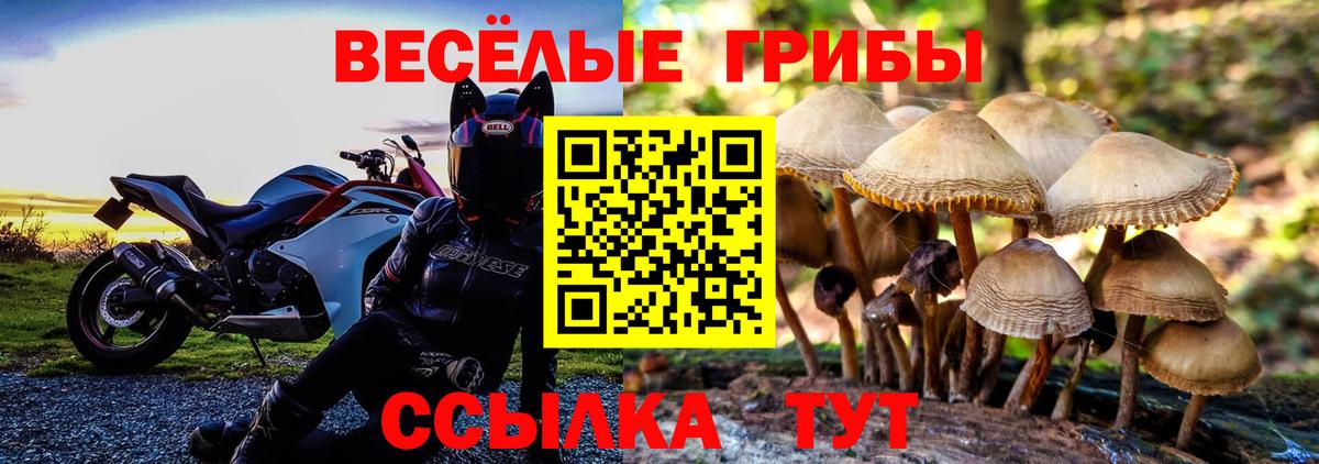 Псилоцибиновые грибы Psilocybine cubensis  купить   Вход с VPN  Аша  Псилоцибиновые грибы Magic Shrooms 